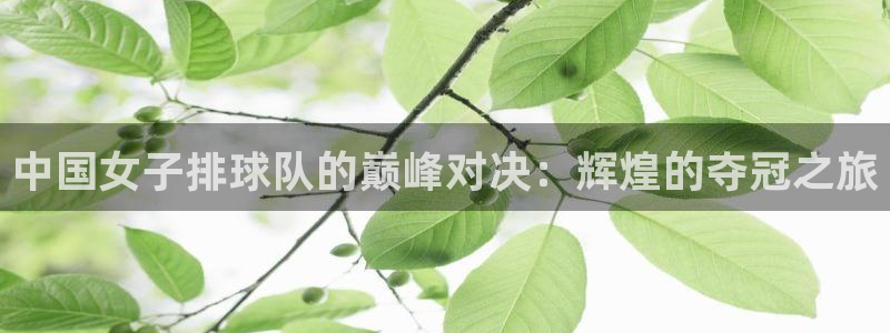 2026葡萄牙杯赛程表:中国女子排球队的巅峰对决:辉煌的夺冠之旅