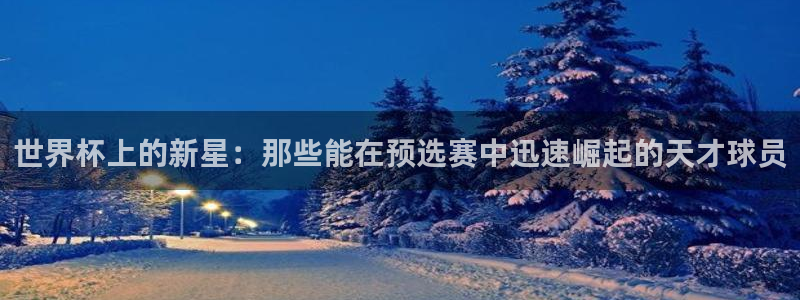 美国世界杯:世界杯上的新星:那些能在预选赛中迅速崛起的天才球员