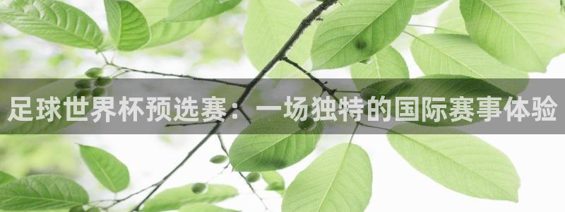 看世界杯:足球世界杯预选赛:一场独特的国际赛事体验