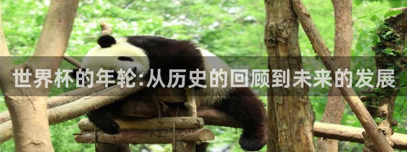欧联杯直播:世界杯的年轮:从历史的回顾到未来的发展