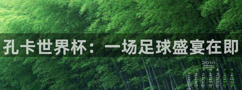 2026葡萄牙杯赛程表:孔卡世界杯:一场足球盛宴在即