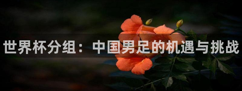 世界杯预选赛:世界杯分组:中国男足的机遇与挑战