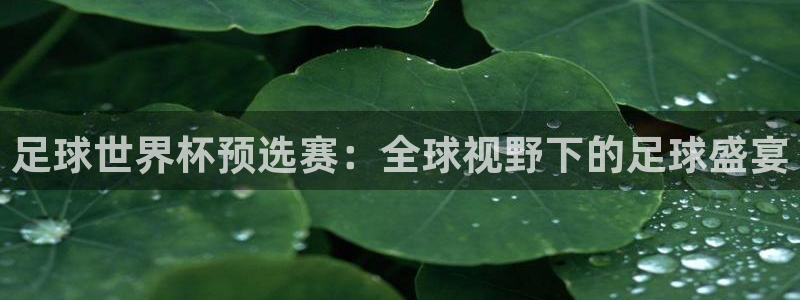 免费看足球直播比赛:足球世界杯预选赛:全球视野下的足球盛宴