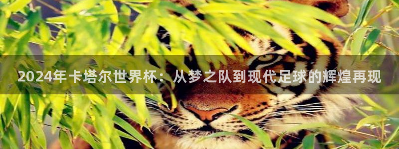 2026世亚预赛赛程表:2024年卡塔尔世界杯:从梦之队到现代足球的辉煌再现
