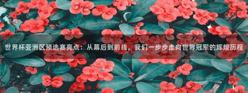 2026世界杯赛制:世界杯亚洲区预选赛亮点:从幕后到前线,我们一步步走向世界冠军的辉煌历程