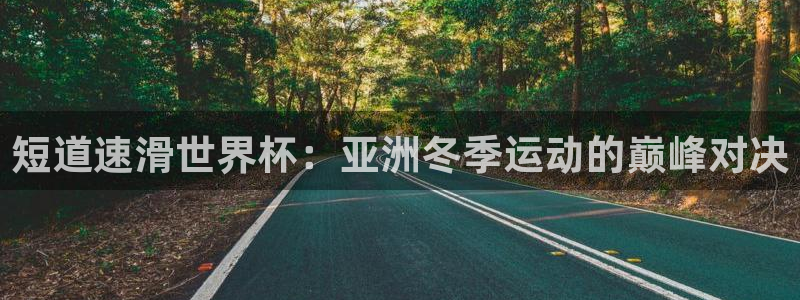 世界杯 中国:短道速滑世界杯:亚洲冬季运动的巅峰对决