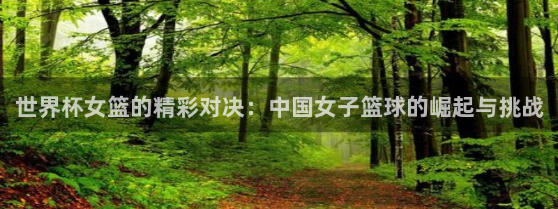 2026年世界杯:世界杯女篮的精彩对决:中国女子篮球的崛起与挑战